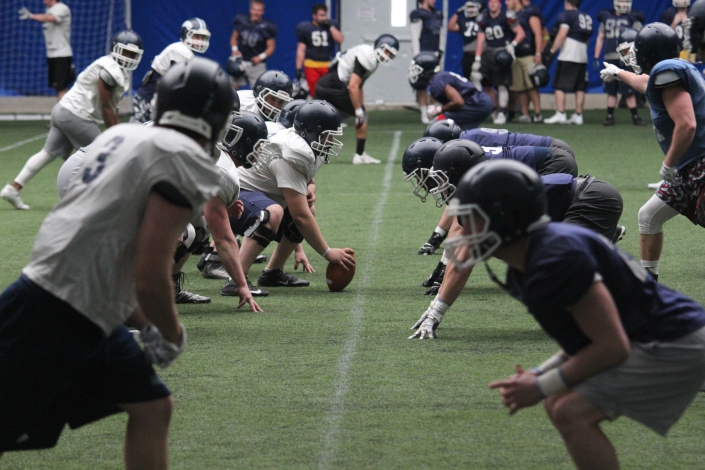 Bees open Spring Practice - PHOTOS