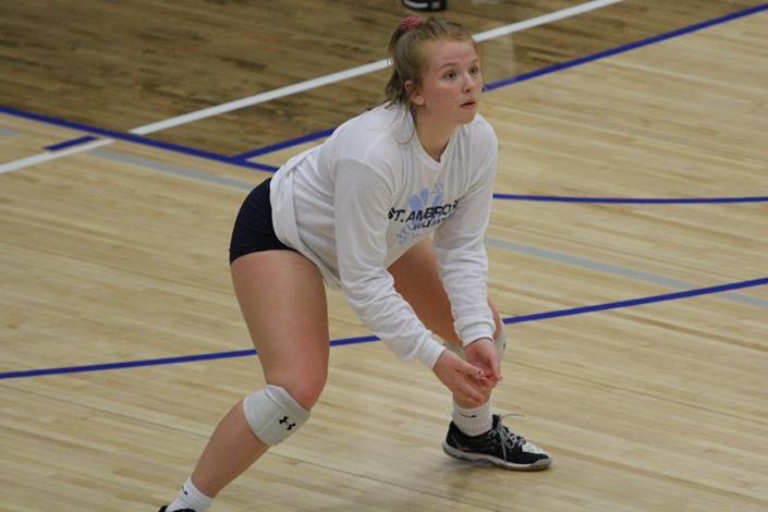 Bees get important CCAC win over Judson