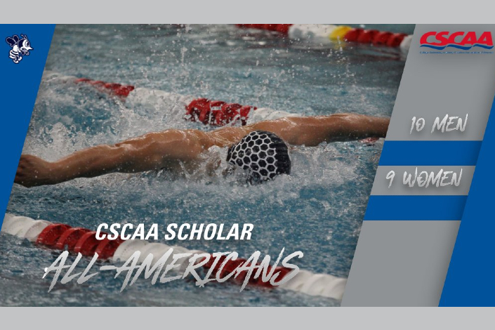 Nineteen Bees named to CSCAA Scholar All-America Team
