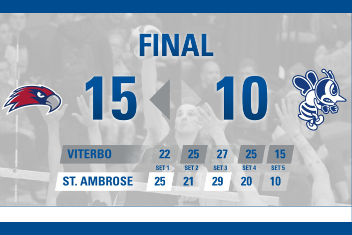 Bees stumble in five sets to V-Hawks