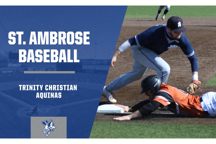 Bees topple Trolls, split two games with Aquinas