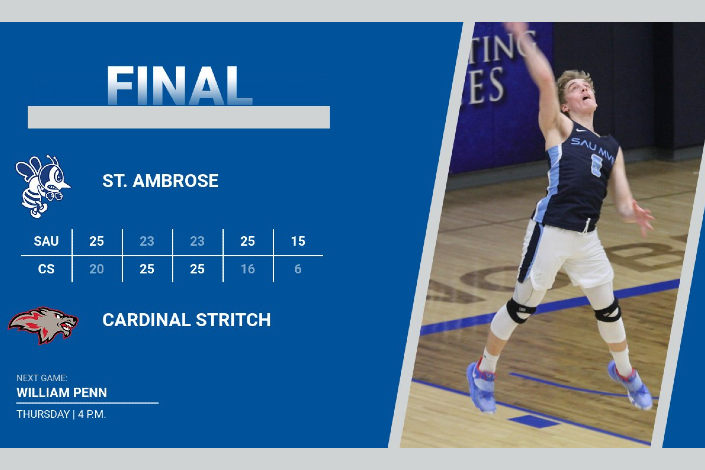 Bees shock Wolves in five sets