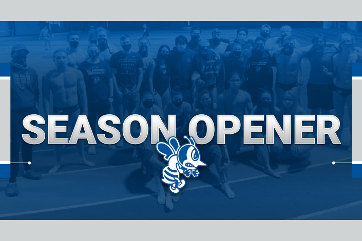 Bees get season underway at Lewis University