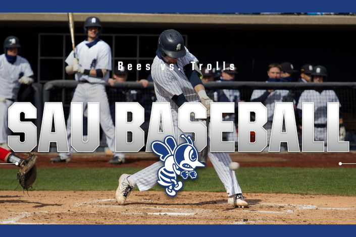 Bees complete season sweep of Trolls