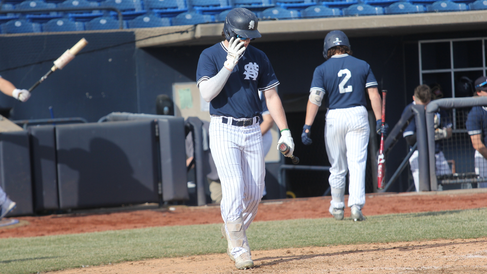 Bees drop two to Tigers