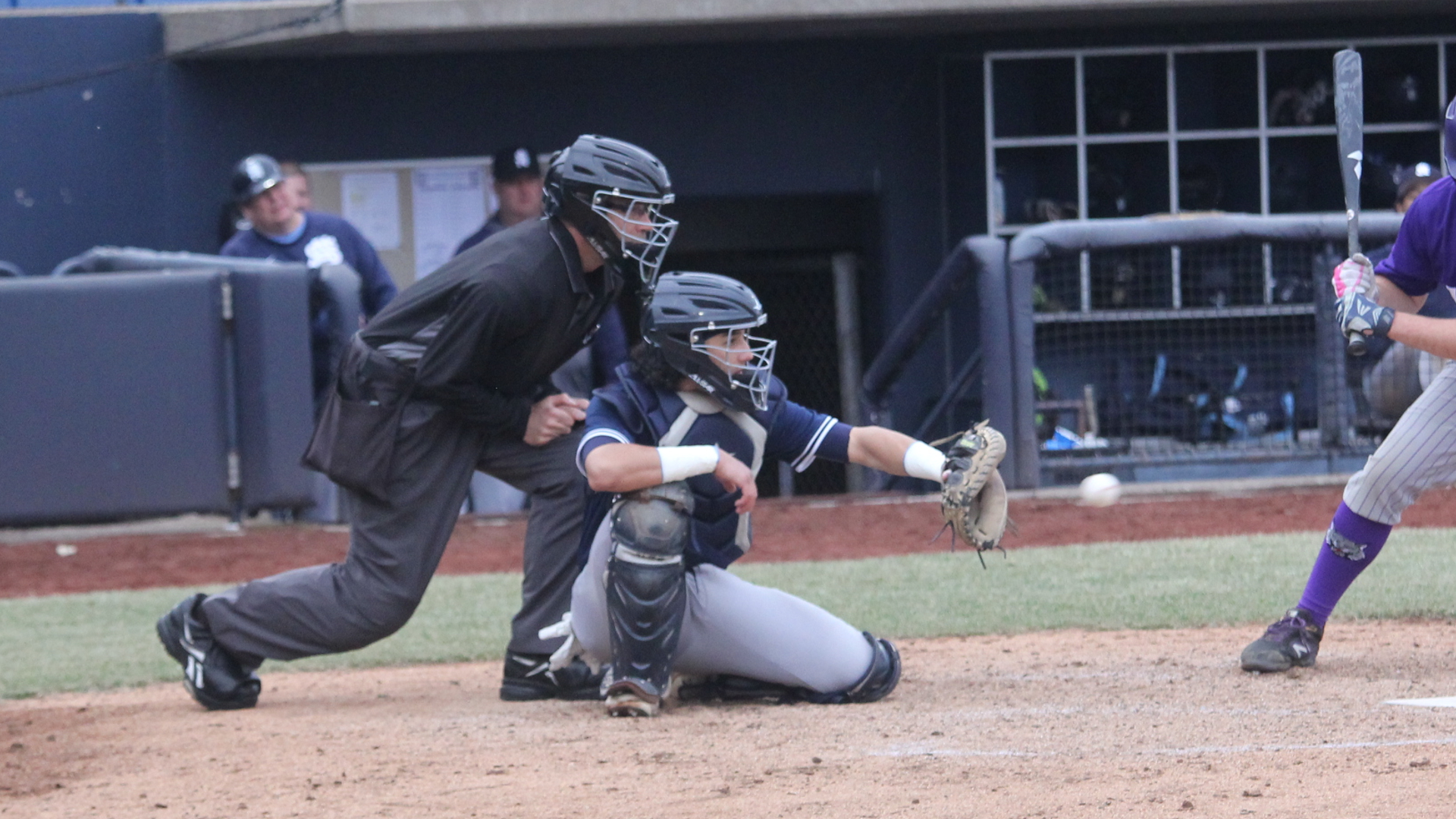 Bees stomp Lynx to sweep season series