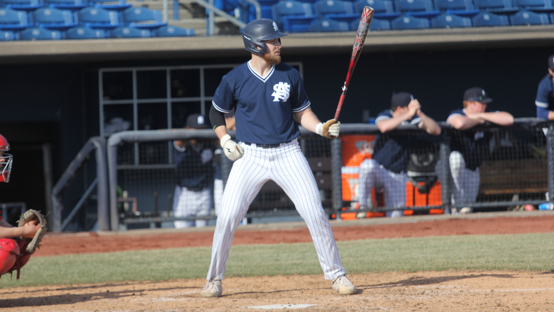 Bees stay hot; roll over Crimson Wave