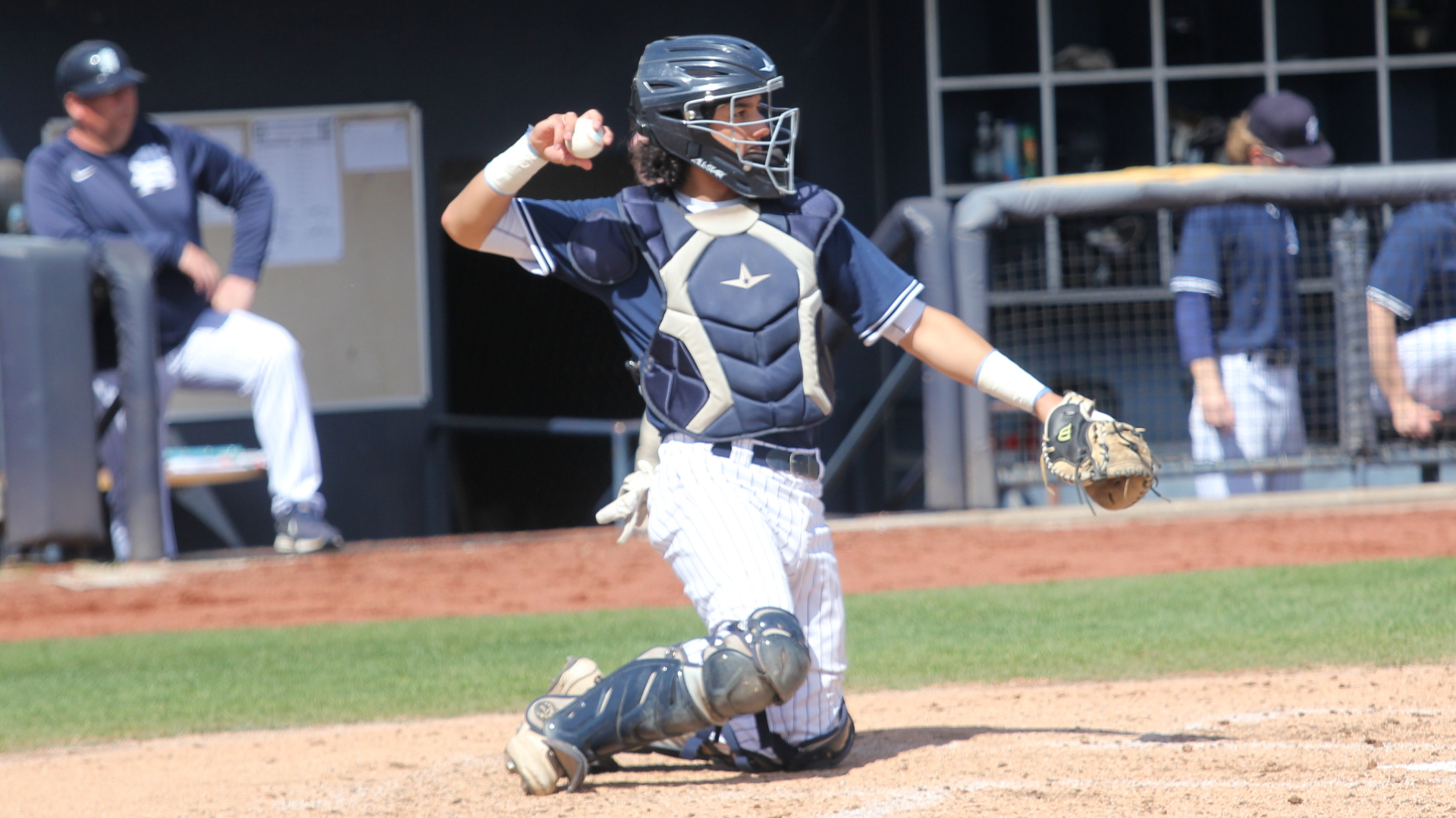 Bees fall to Tigers, still alive in conference tournament
