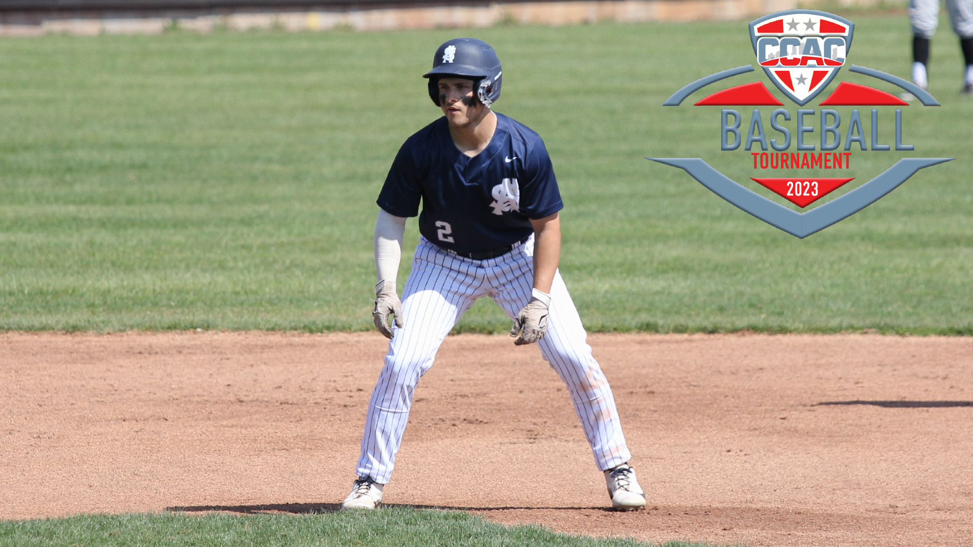 Bees unable to hold onto early lead in CCAC Tourney opener
