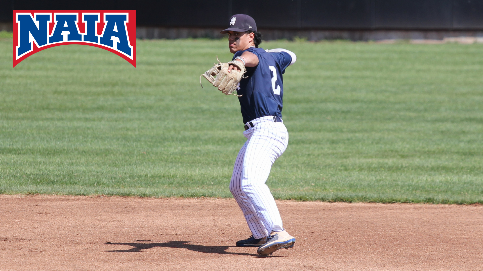 Eight named NAIA Baseball Scholar-Athletes