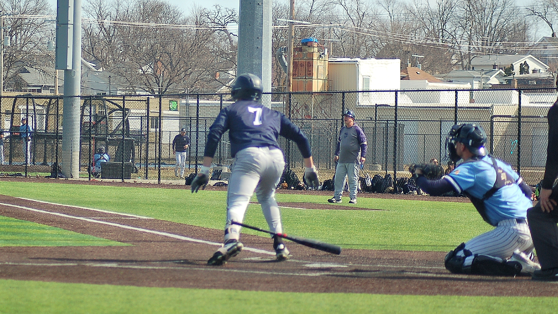 Bees bounce back to earn split with Tigers