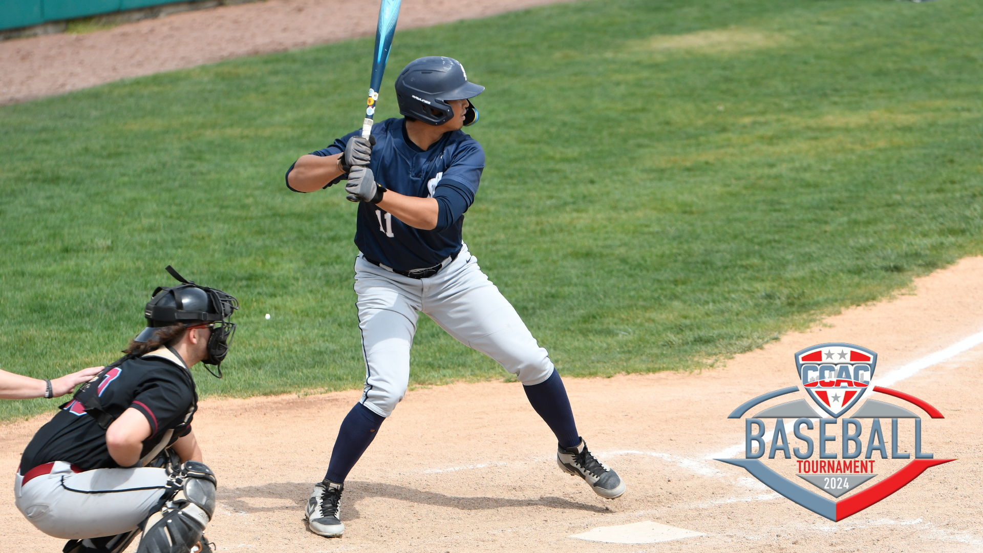 Bees suffer first loss at CCAC Tournament
