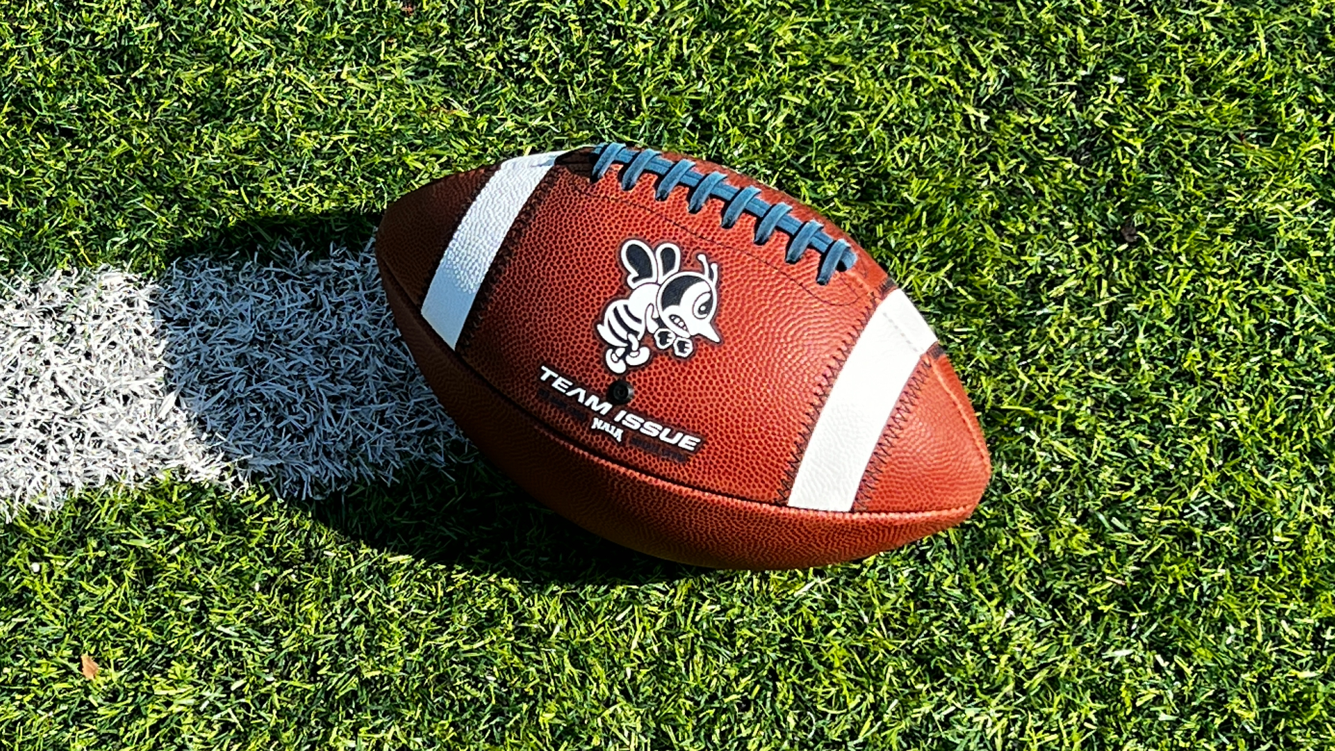 Late touchdown spoils Ward's big day in SAU opener