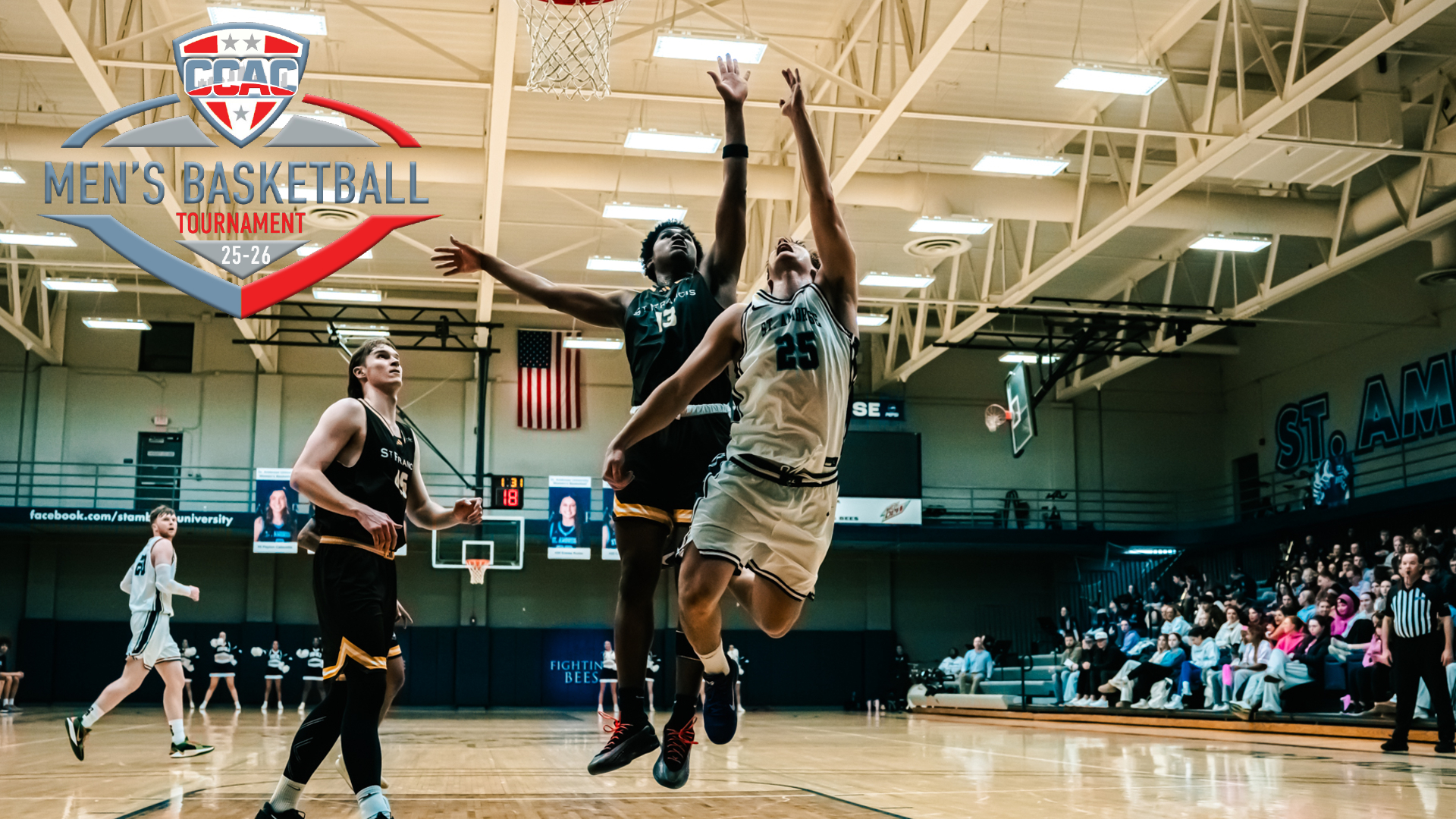 Bees fall in overtime in CCAC Tourney semifinals