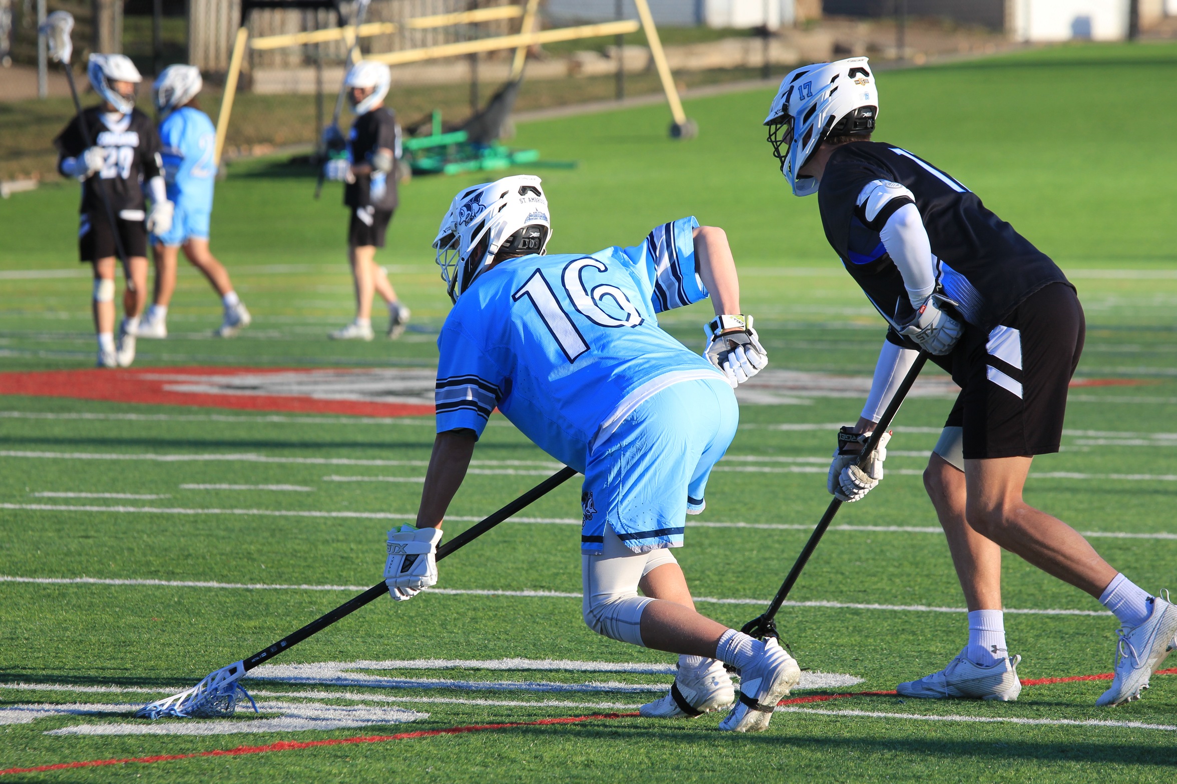 Stout defense leads to offense for the Bees
