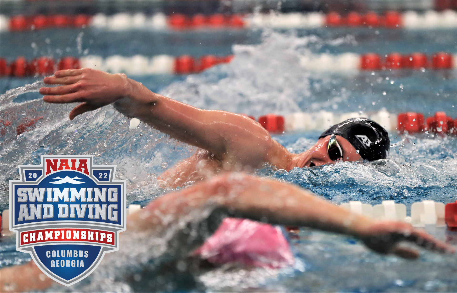 Swarm of 23 Bees heading to NAIA Swimming and Diving Championships