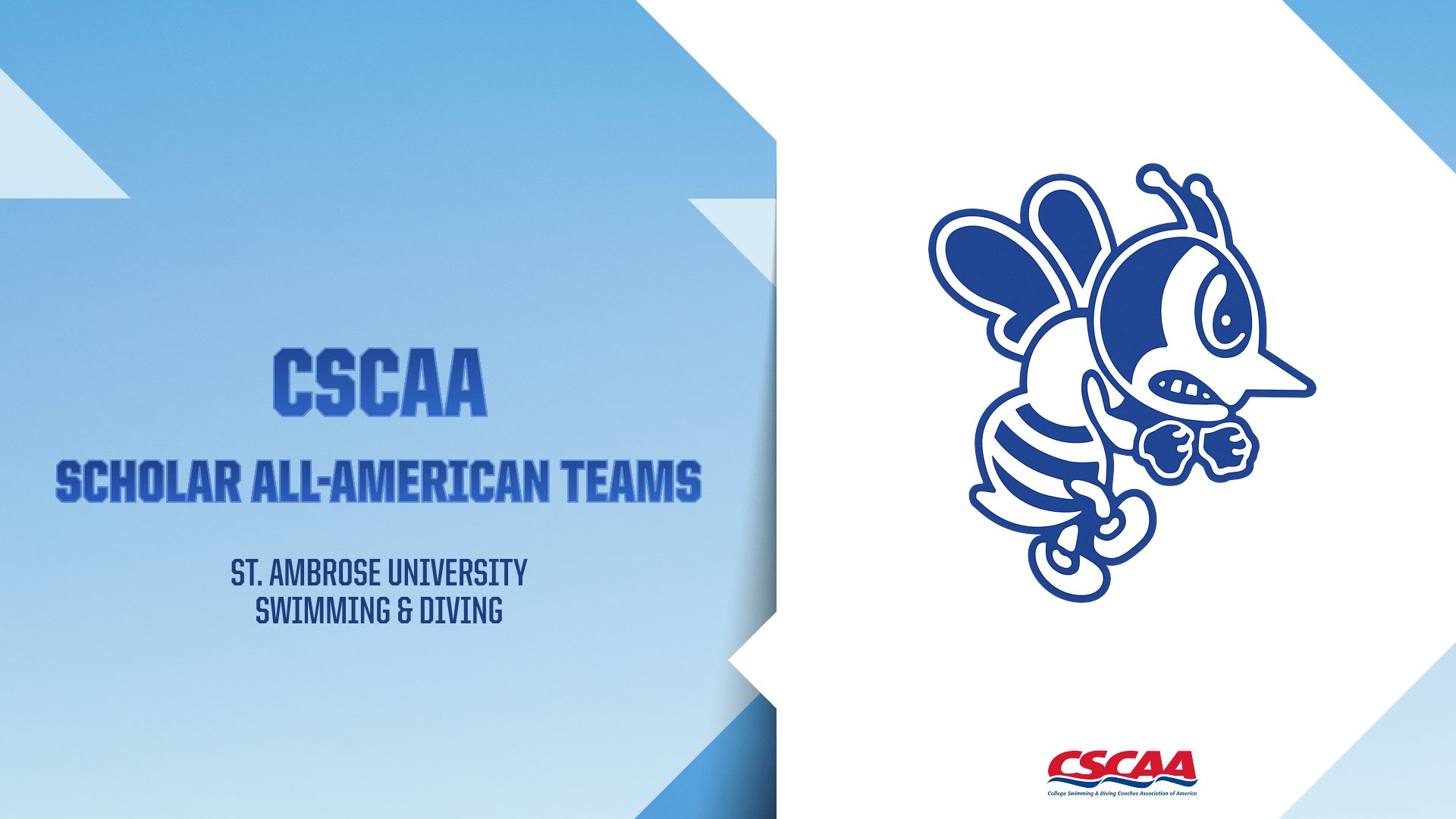 Bees earn team and individual CSCAA Scholar All-American honors