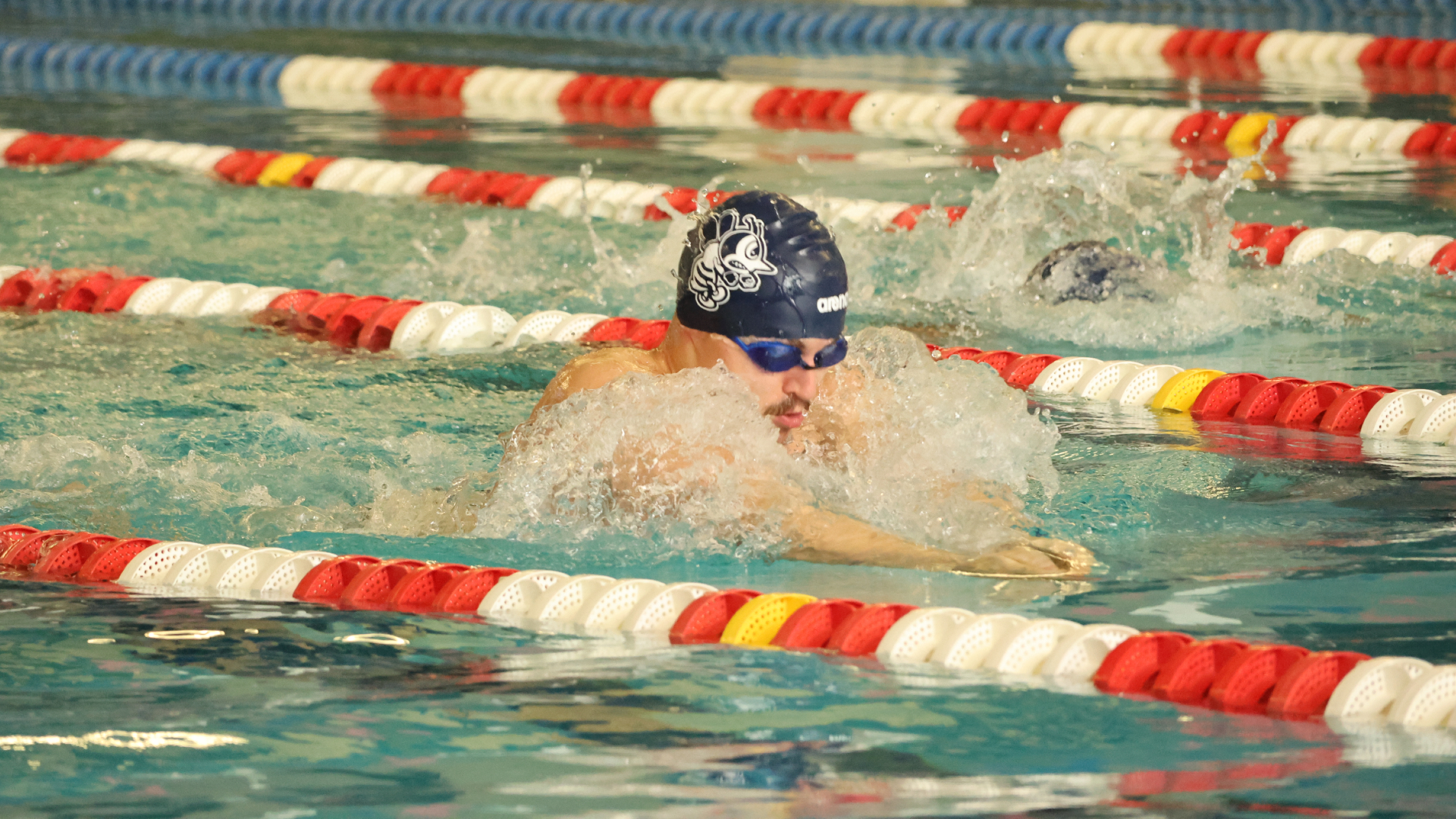 Bees earn multiple top-eight finishes at Rochester Invite