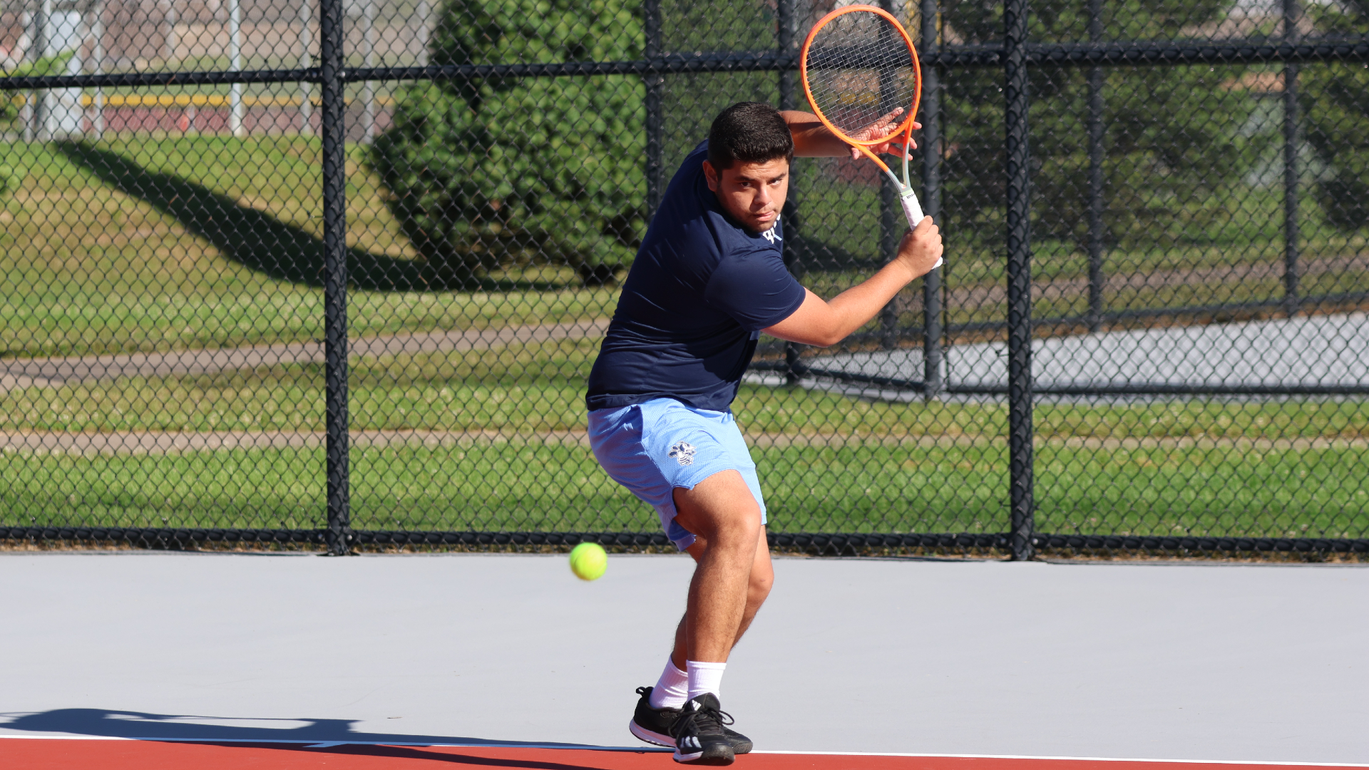 Bees drop duals to Wis.-Stevens Point
