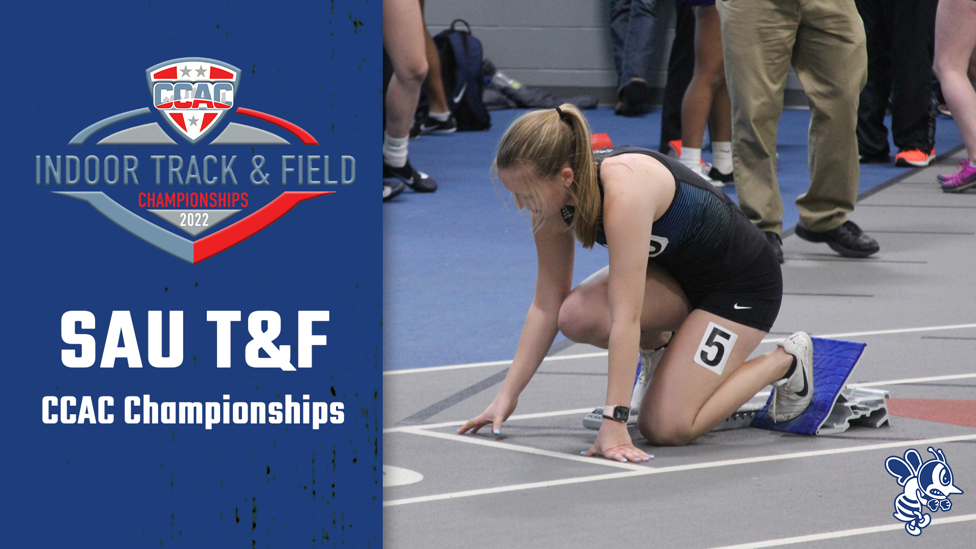 Fighting Bees take on CCAC Indoor Championships