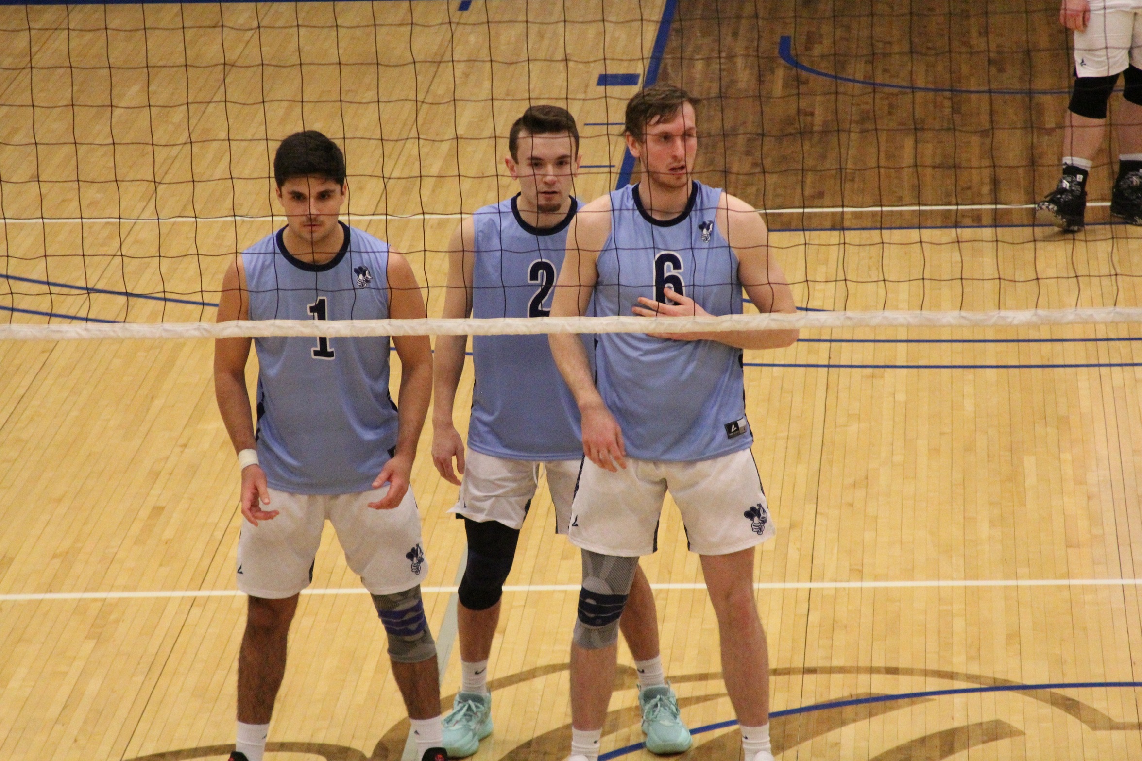 Bees get third CCAC win with comeback victory over Wolves