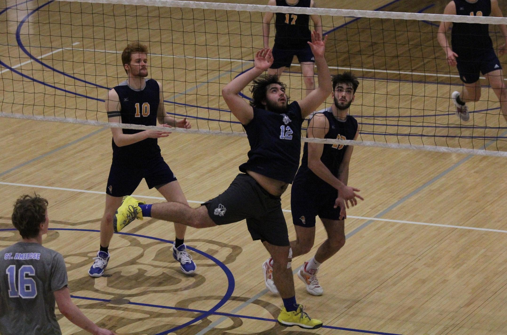Bees unable to complete comeback against Wildcats