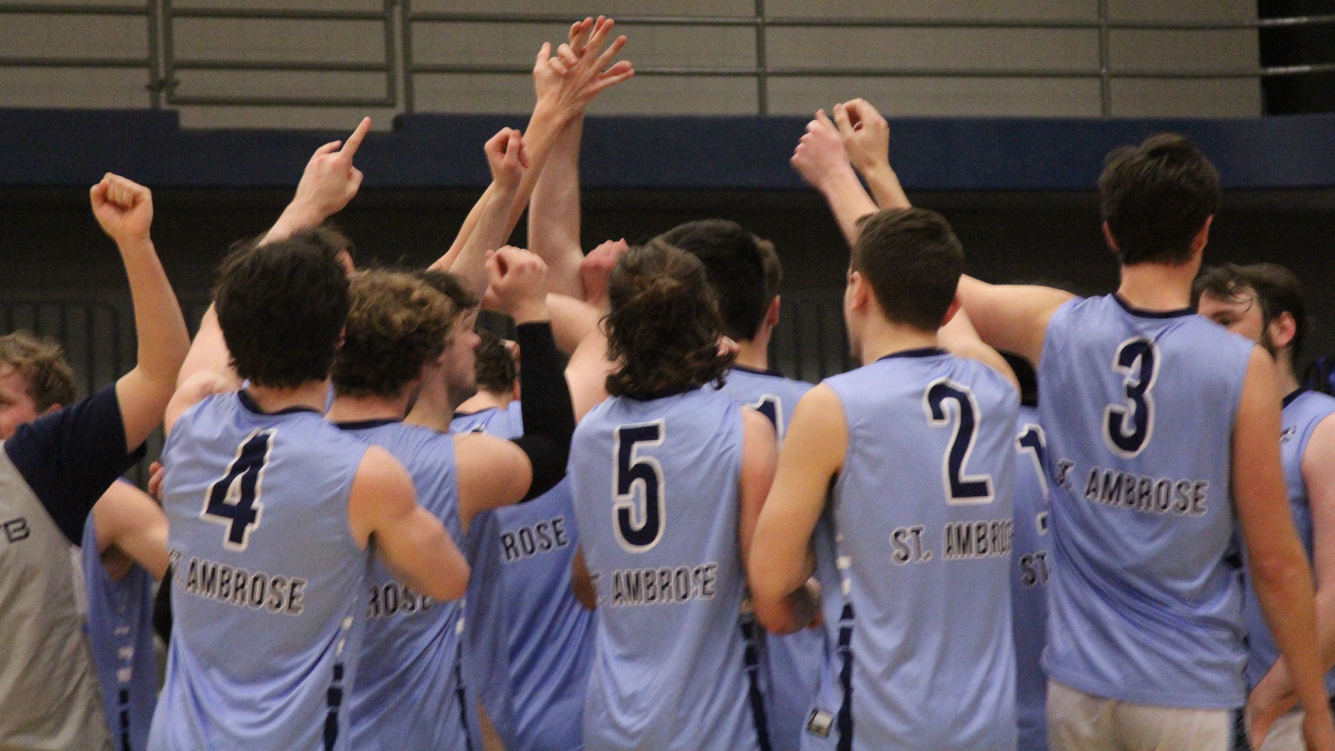 Vikings slip past Bees in three sets