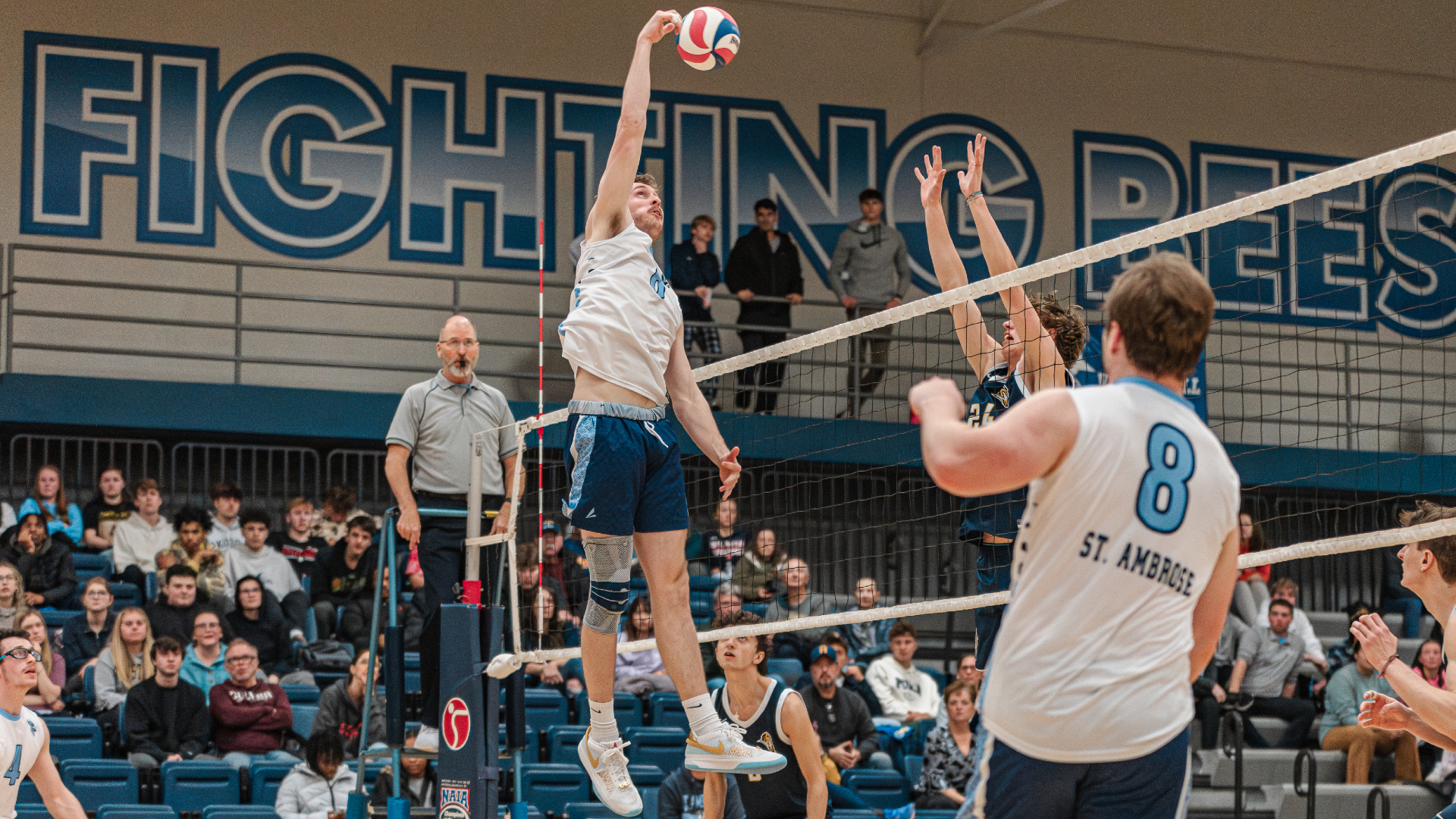 Bees extend Vikings to limit in five-set loss