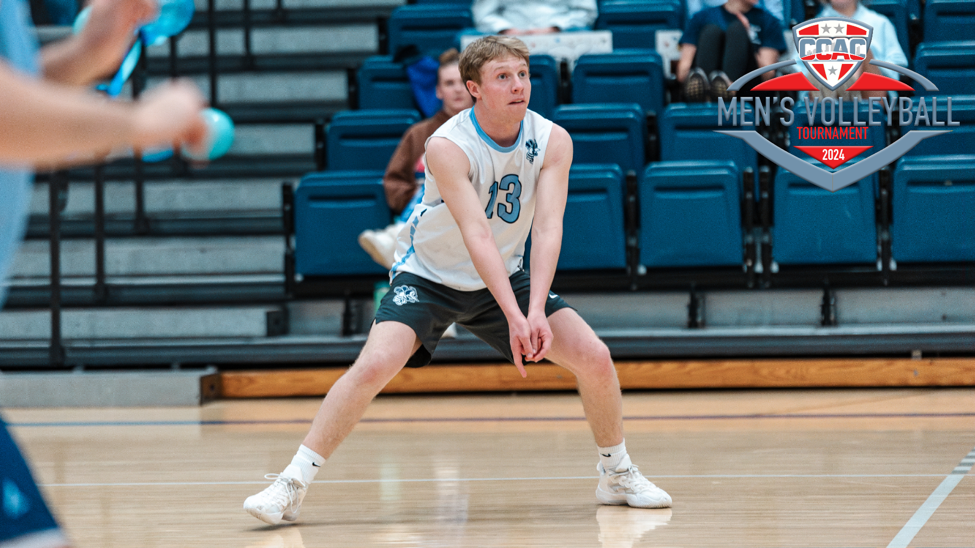 Bees fall to Tigers in CCAC Tournament