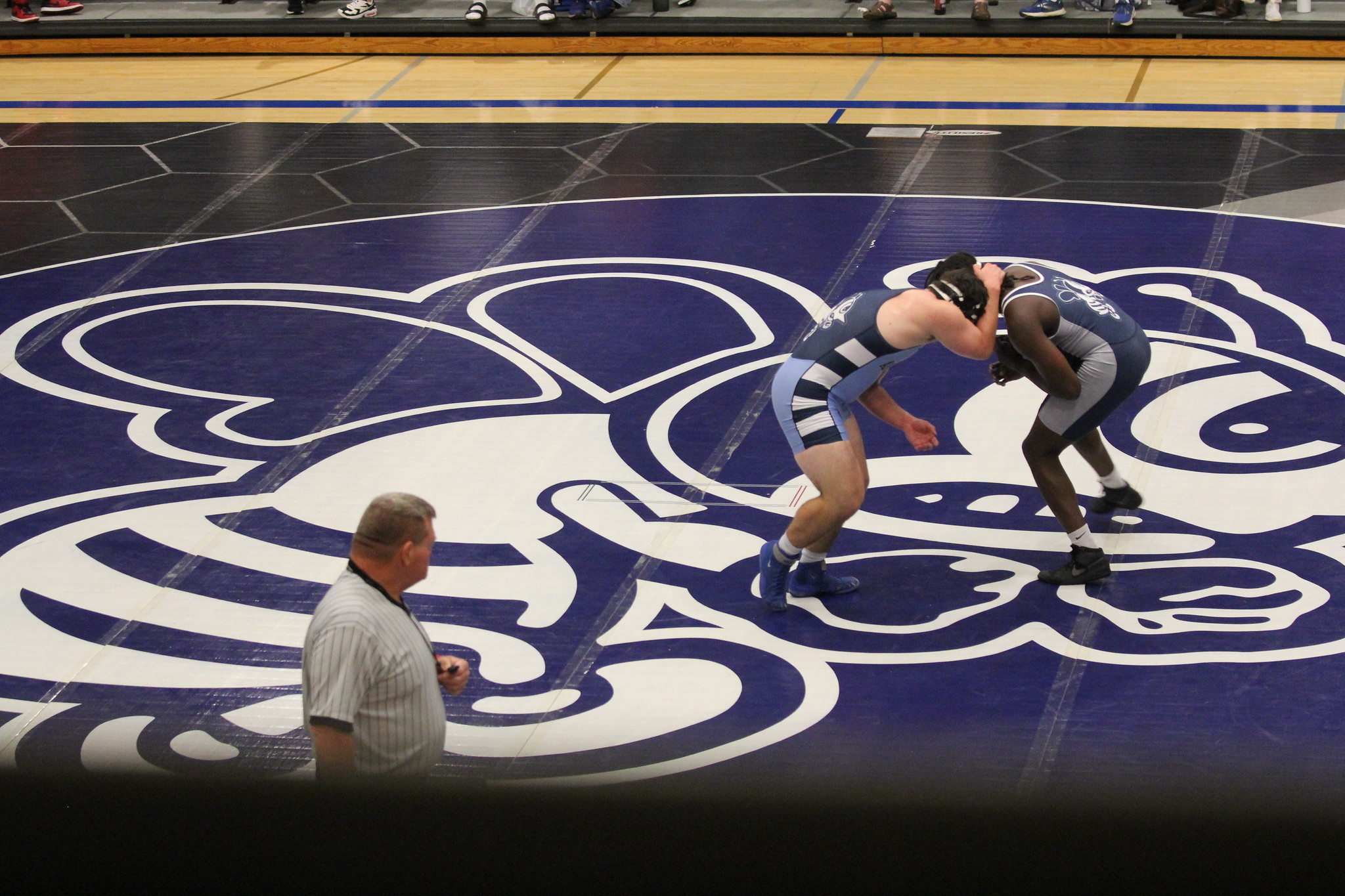 Bees compete in Grand View Open