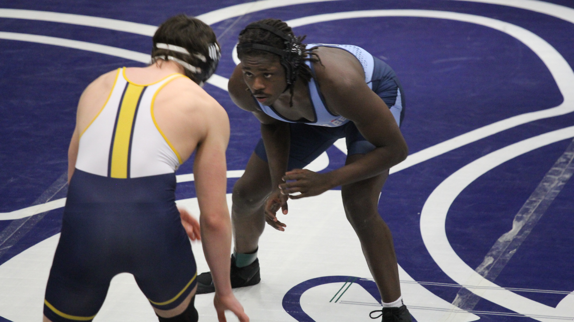 Bees roll in win over Waldorf
