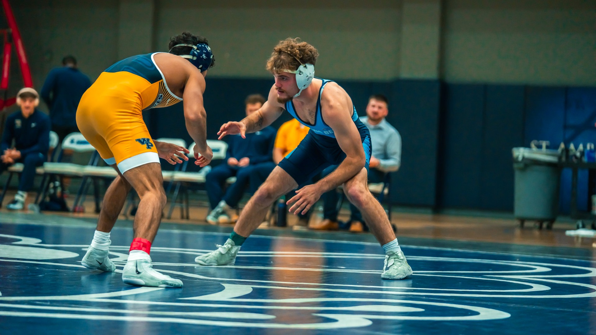 Fighting Bees battle through deep field at Conner Oppenheim Open