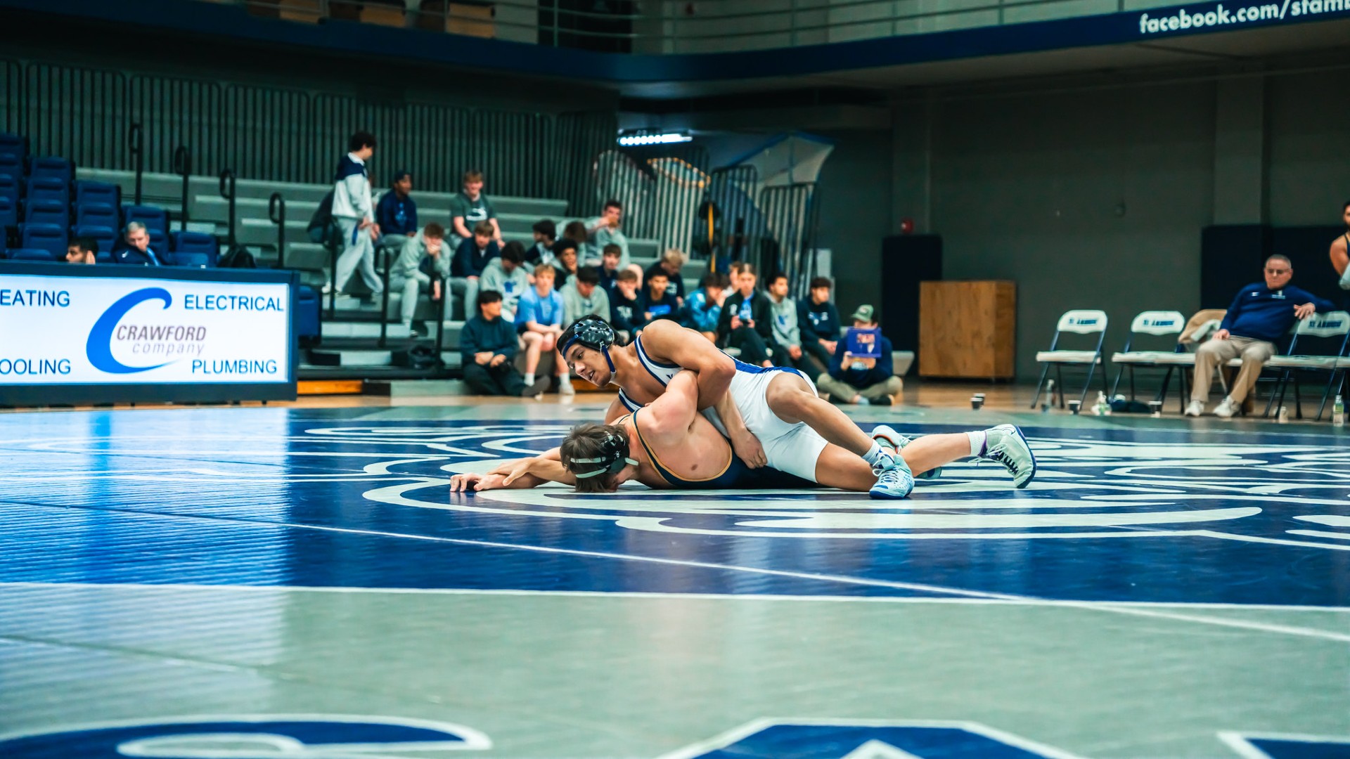 Bees drop home dual to the Vikings