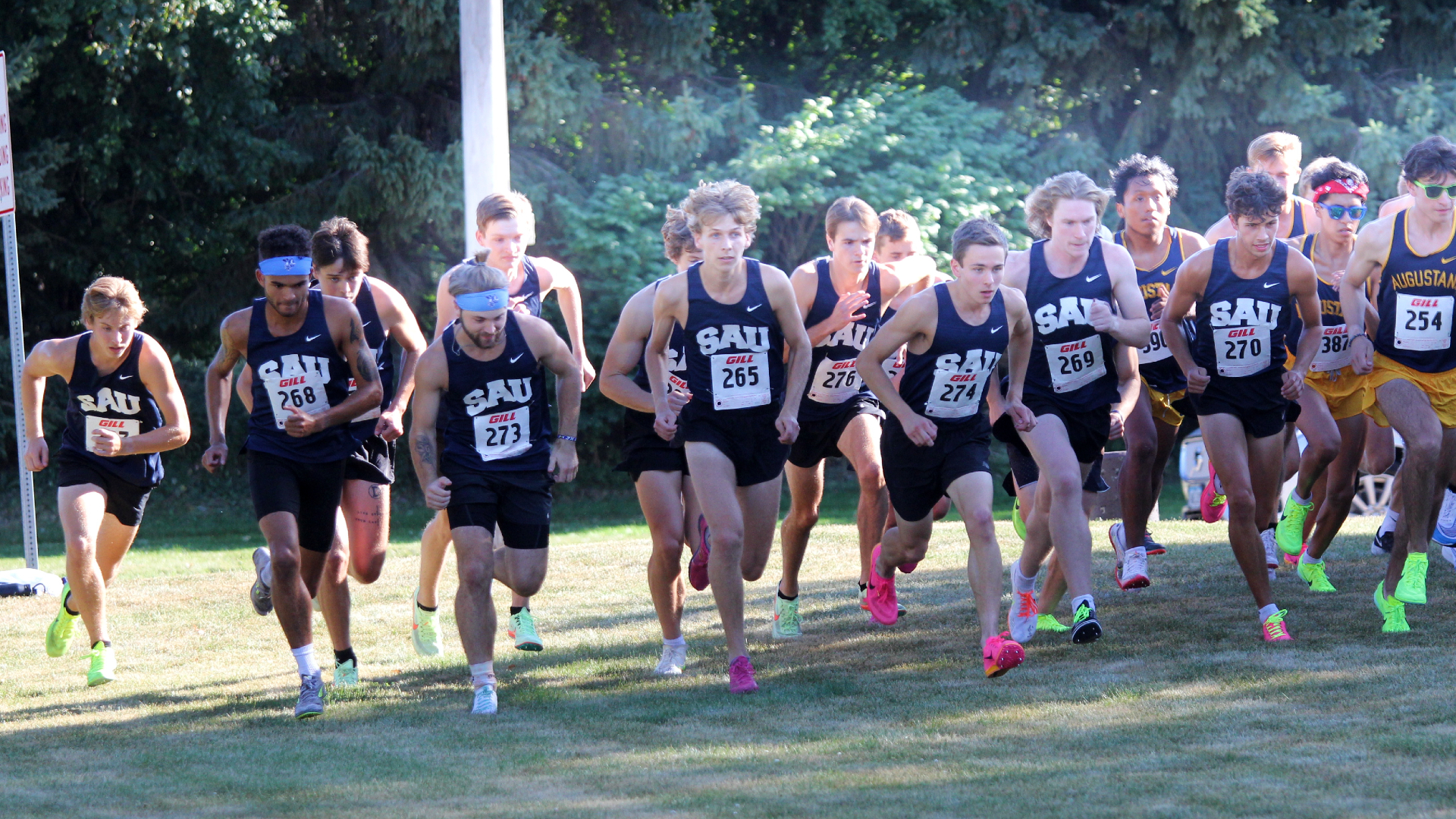 Bees continue season at Brissman Lundeen Invite