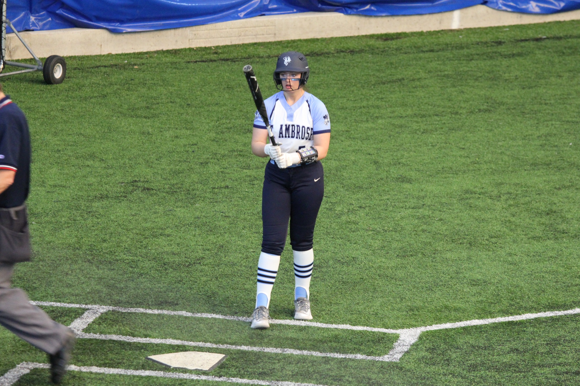 Bees split four more in final Dome Tournament