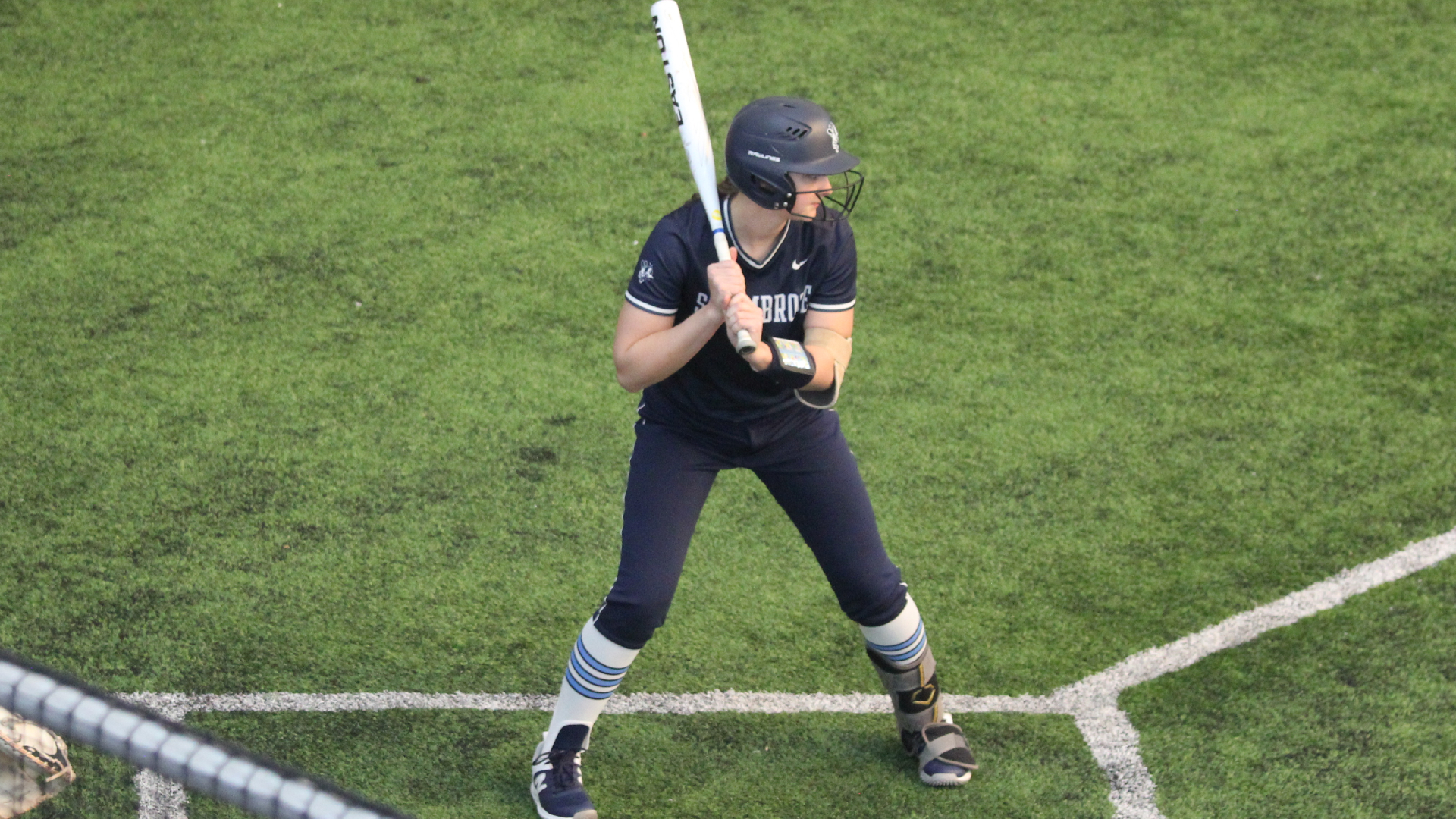 Bees get two more wins at second Dome Tournament