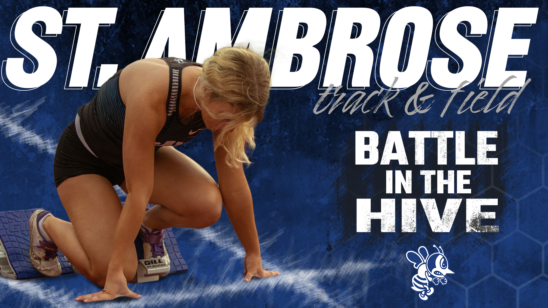 Bees get back to work at Battle in the Hive