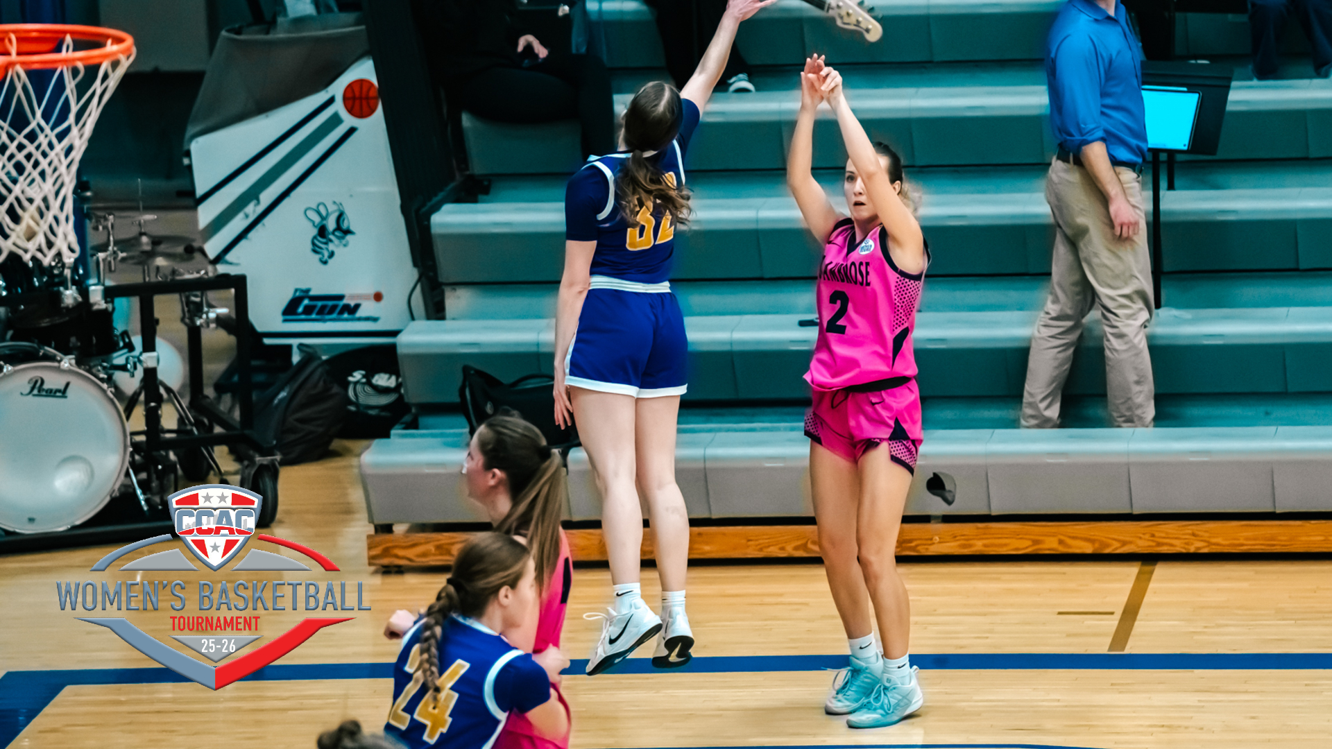 Bees make return to CCAC Tournament
