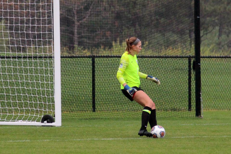 Bees shutout by Panthers