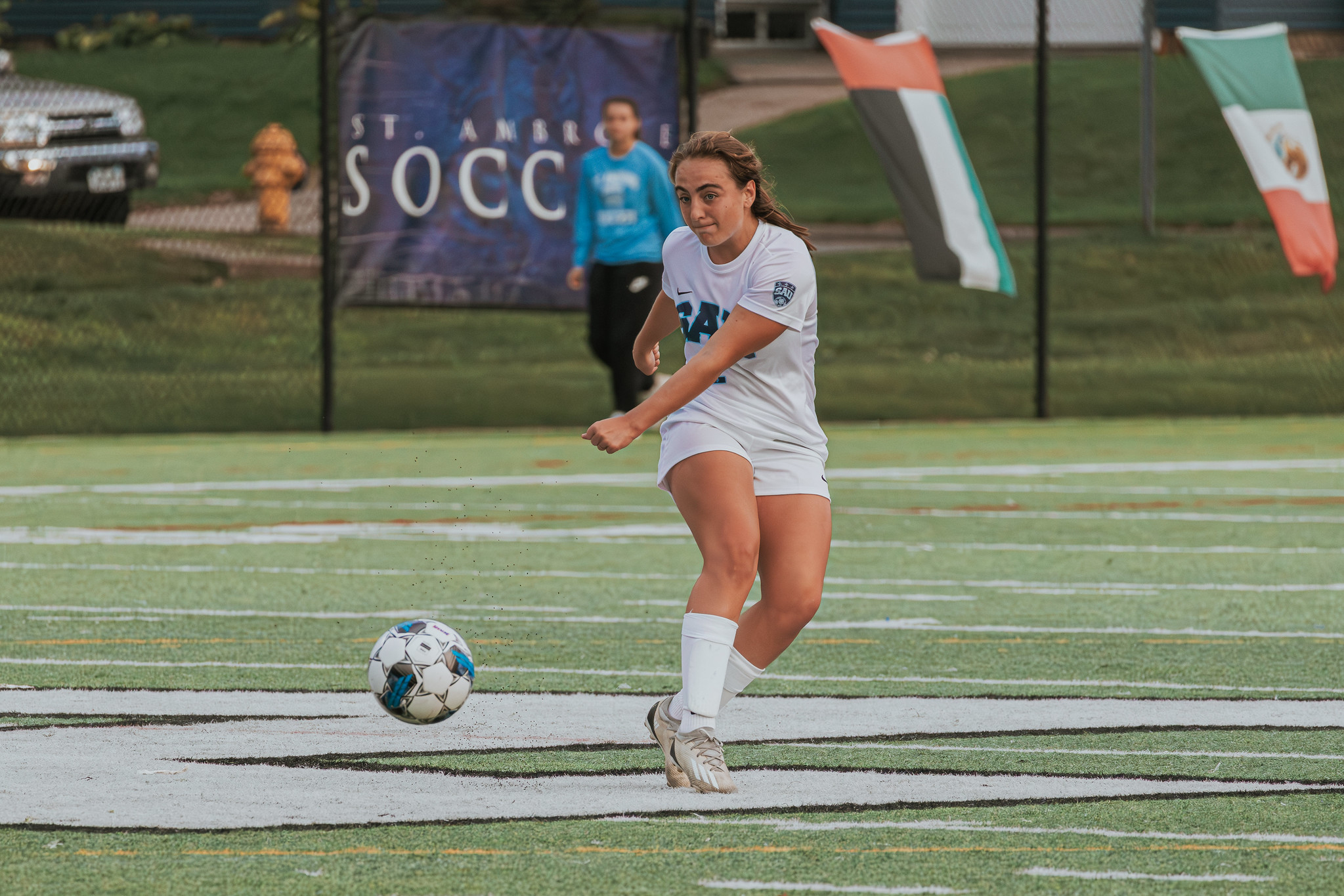 Bees advance to CCAC Tournament semifinals