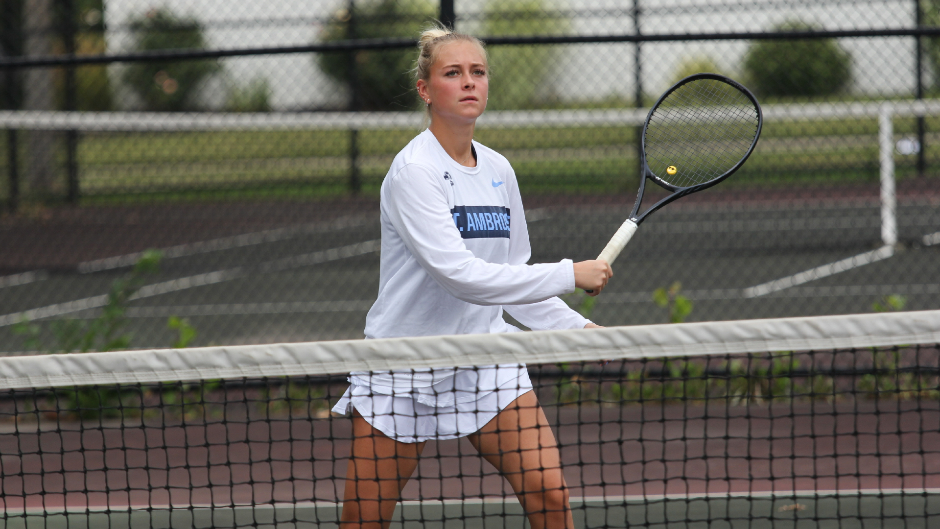 Bees fall to Coe and Cornell