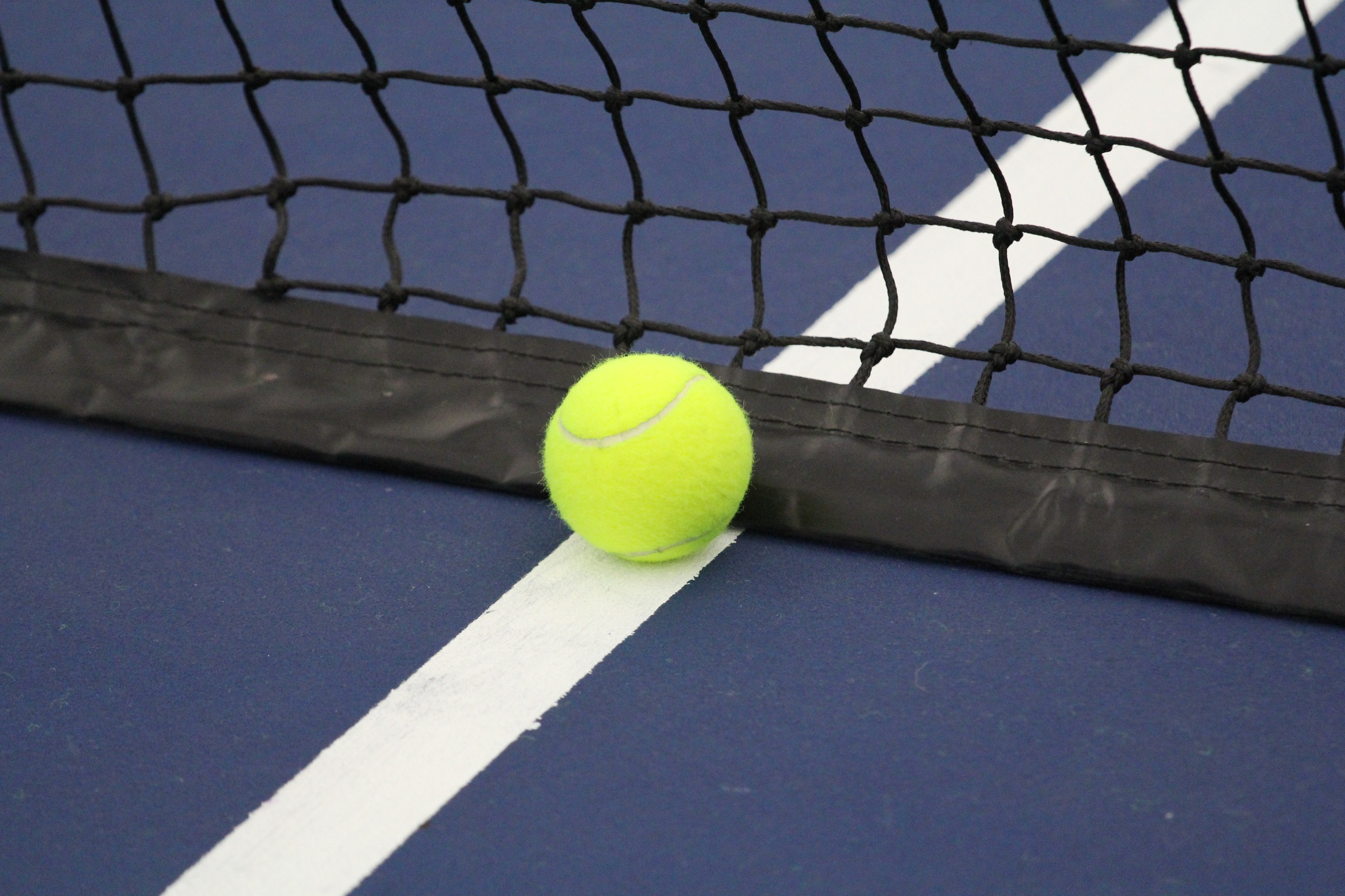 Bees fall to Monmouth, Loras