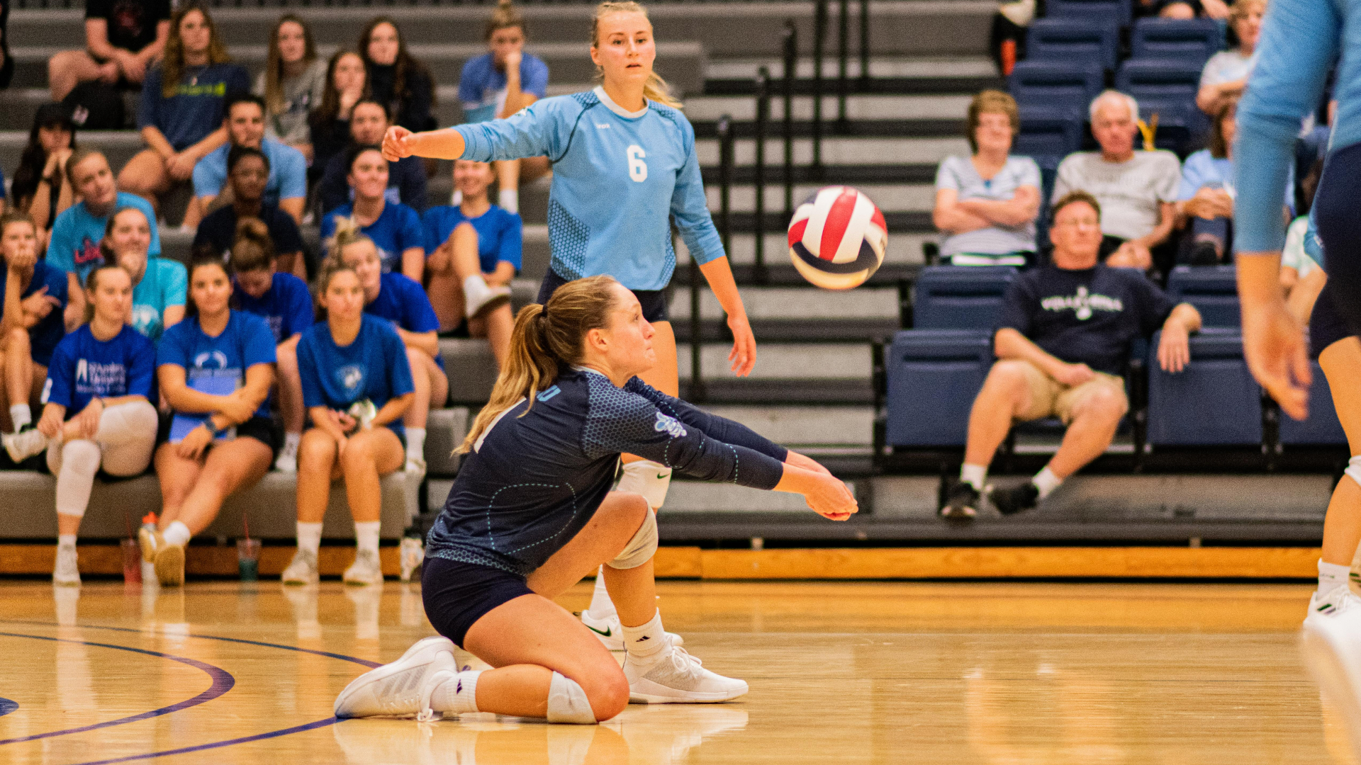Bees take 3-of-4 at Indiana Tech Tournament