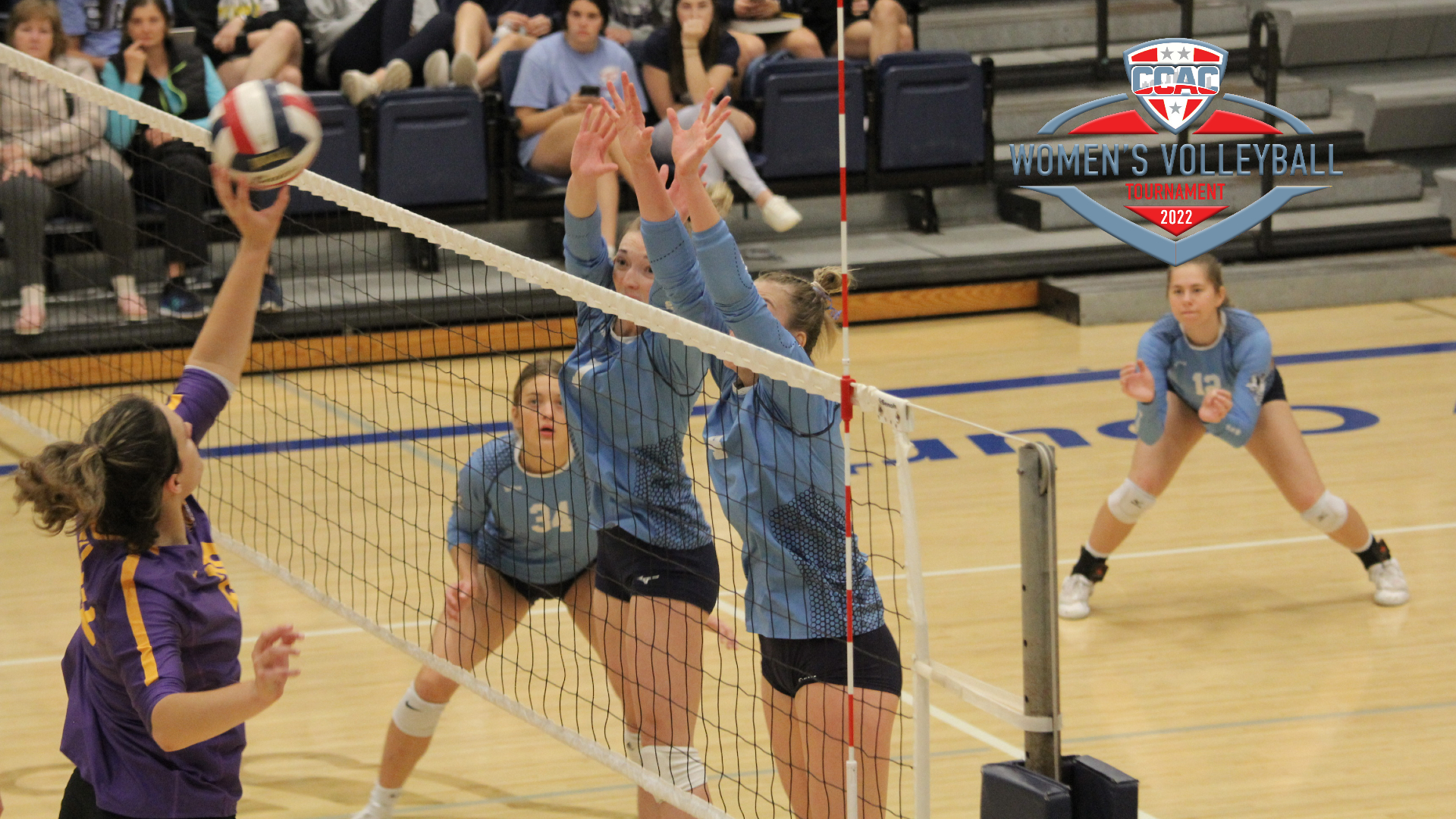 Bees reach CCAC Tournament semifinals with win over Wolves