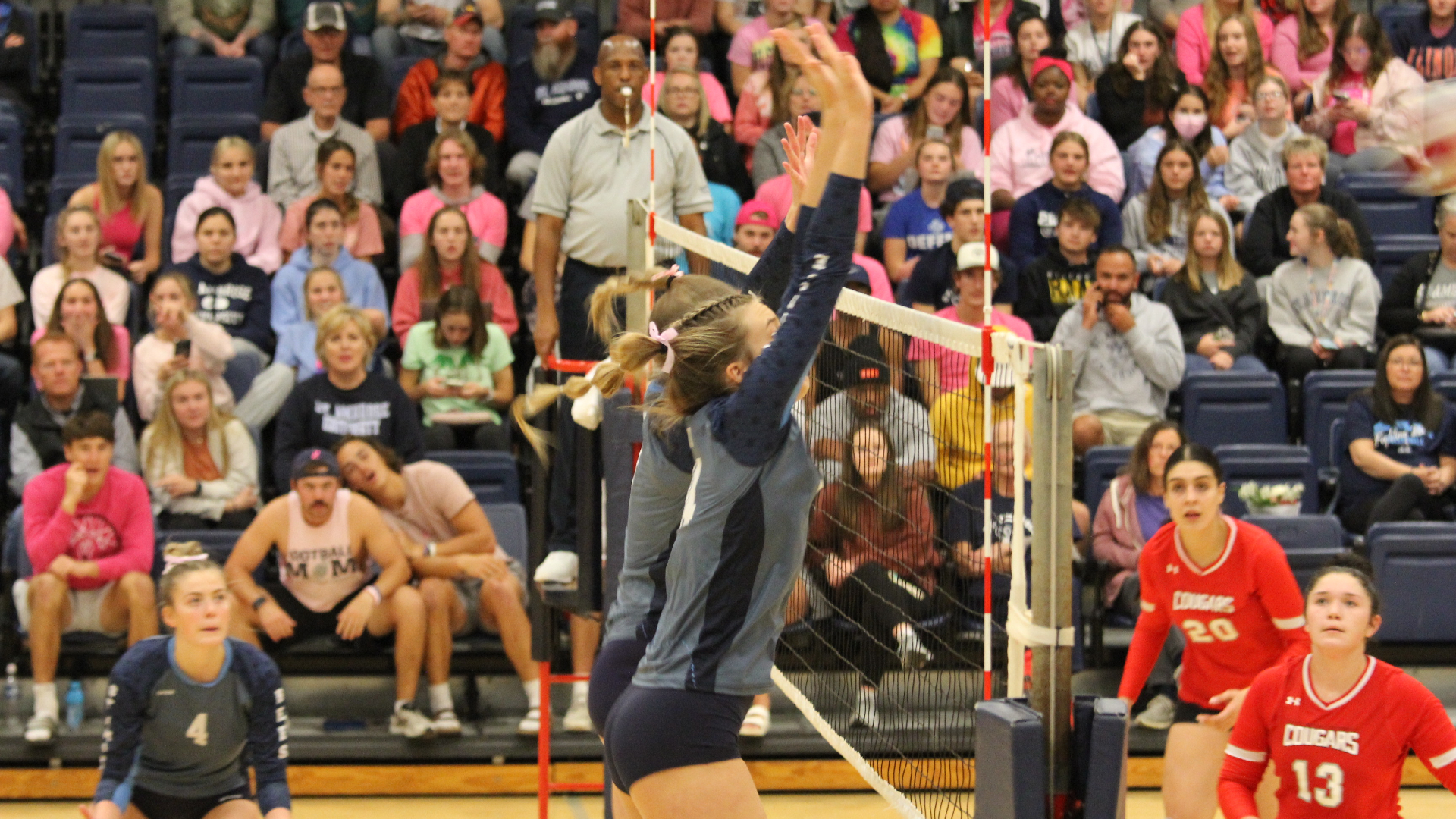 Bees fall to Cougars in matchup of CCAC's best