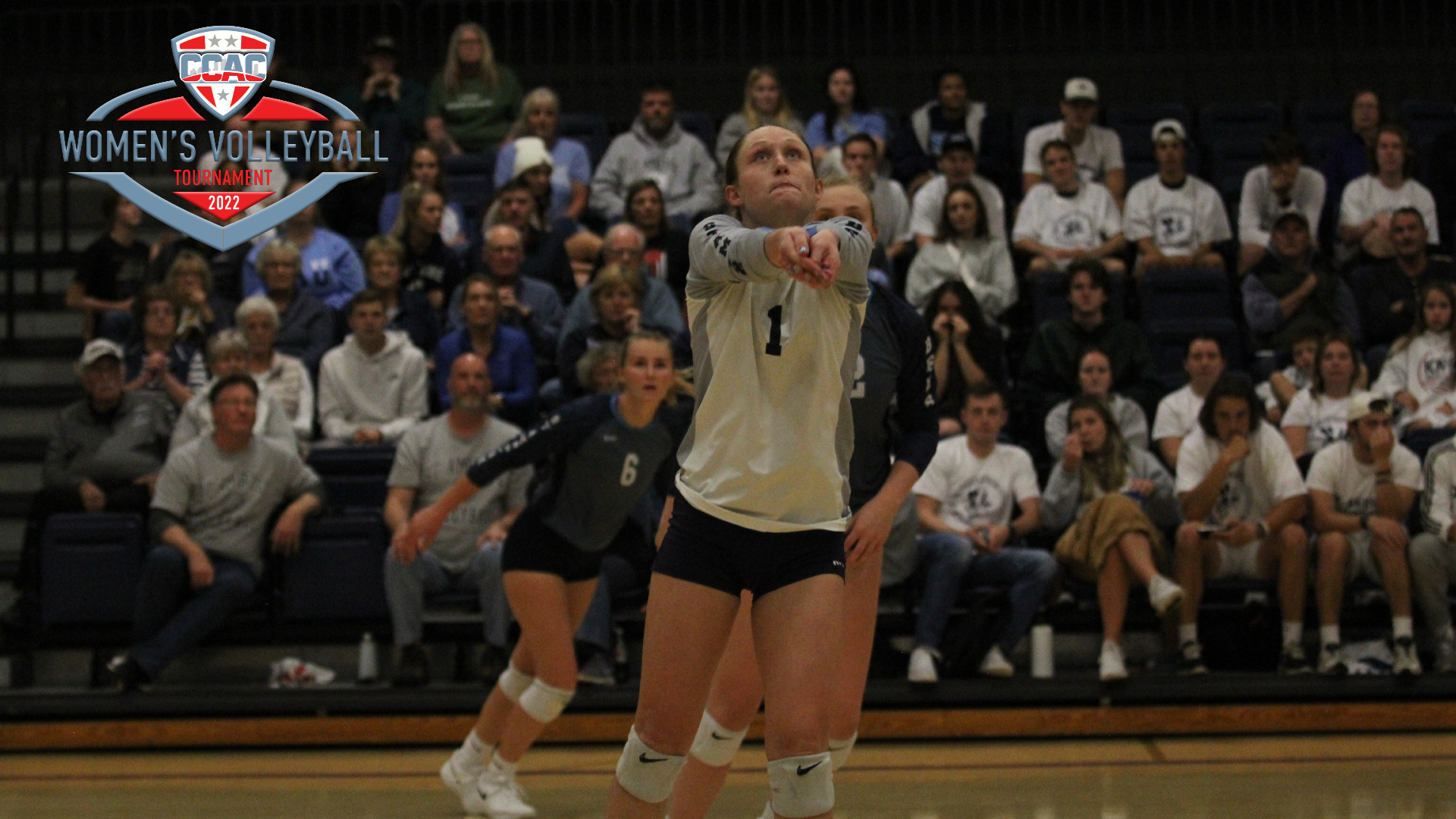 SAU comes up short in CCAC Tournament championship match