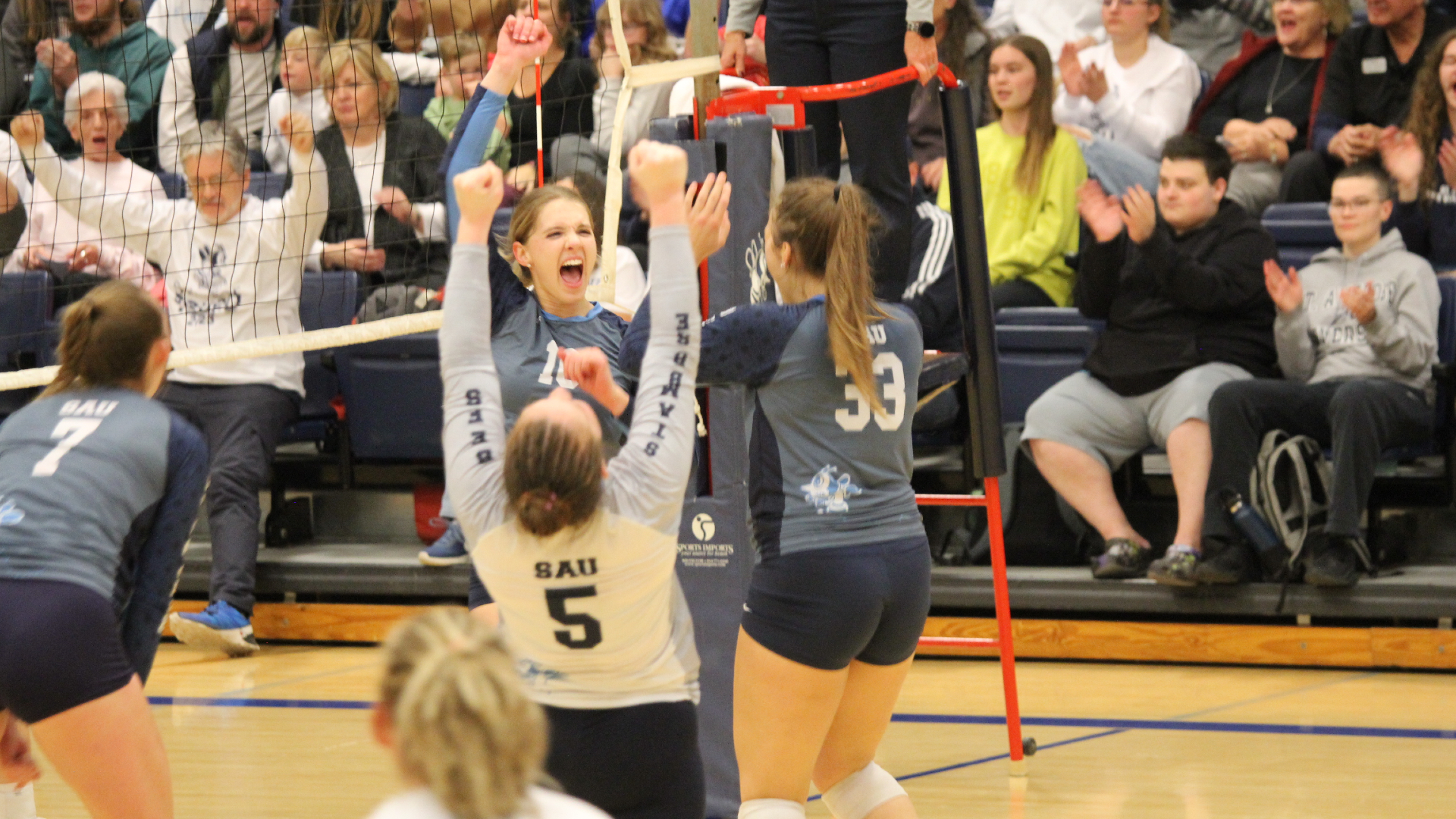 Bees returning to Nationals, playing for CCAC Tourney championship Saturday