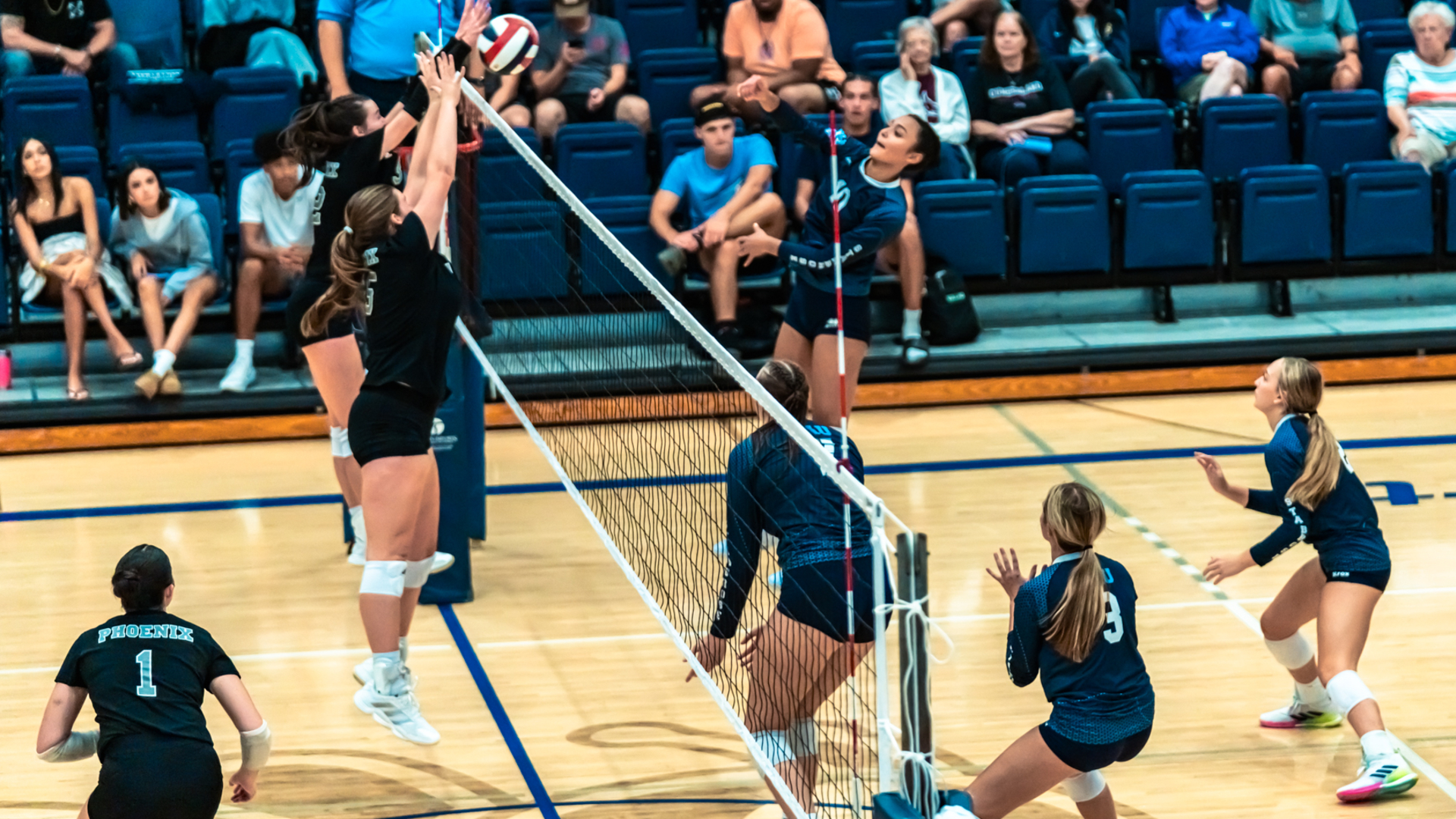 Bees stunned by Jaguars in four sets