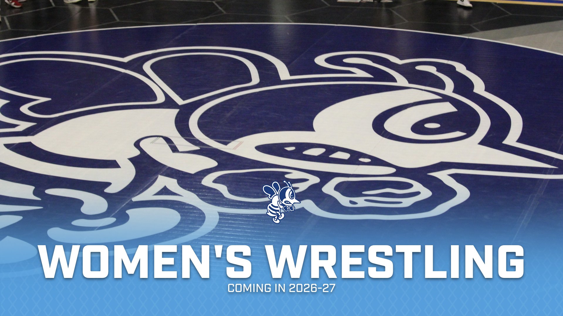 Women&rsquo;s Wrestling Coming to St. Ambrose in 2026-27