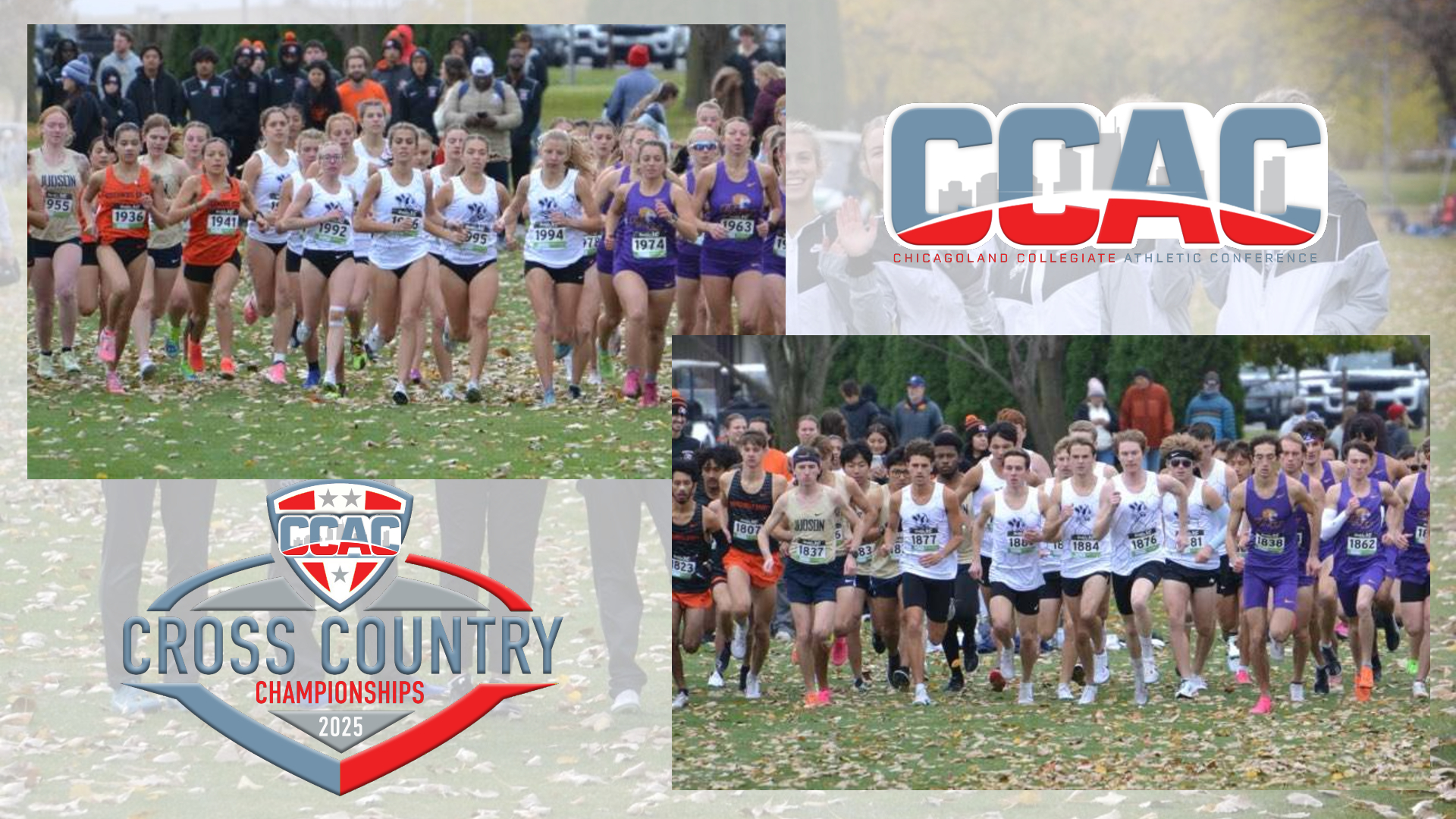 St. Ambrose runs well at CCAC Championships